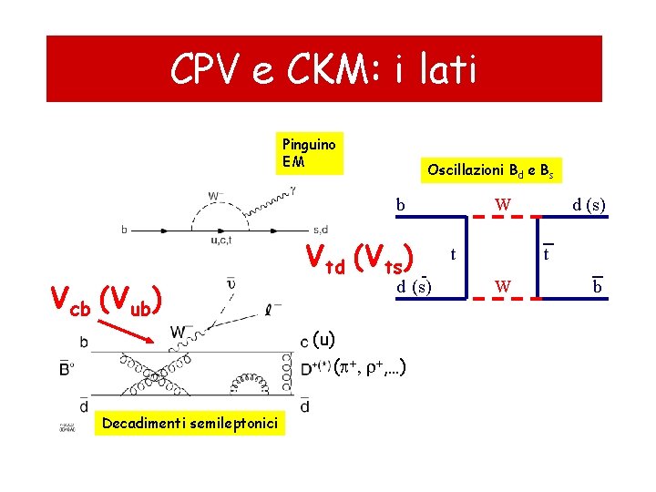 CPV e CKM: i lati Pinguino EM Oscillazioni Bd e Bs b Vcb (Vub)