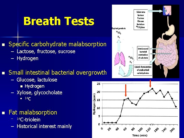 Breath Tests n Specific carbohydrate malabsorption – Lactose, fructose, sucrose – Hydrogen n Small
