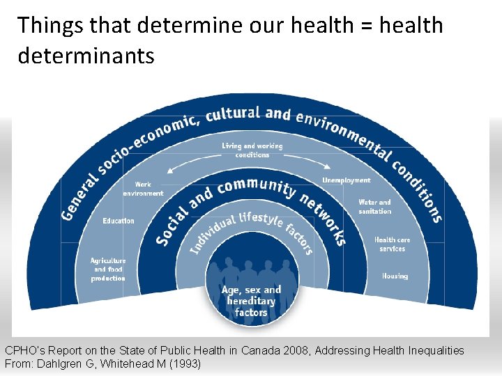 Things that determine our health = health determinants CPHO’s Report on the State of