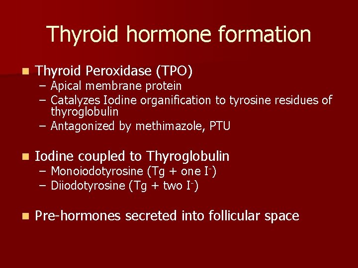 Thyroid hormone formation n Thyroid Peroxidase (TPO) n Iodine coupled to Thyroglobulin n Pre-hormones