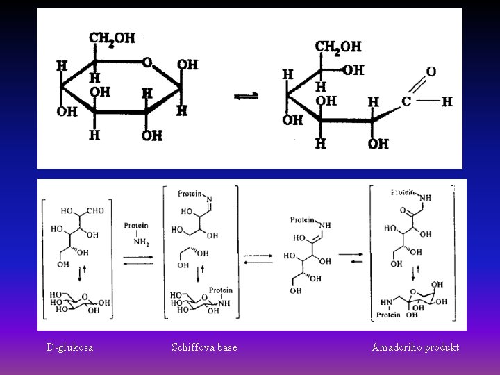 D-glucose Schiff´s base D-glukosa Schiffova base Amadori product Amadoriho produkt 