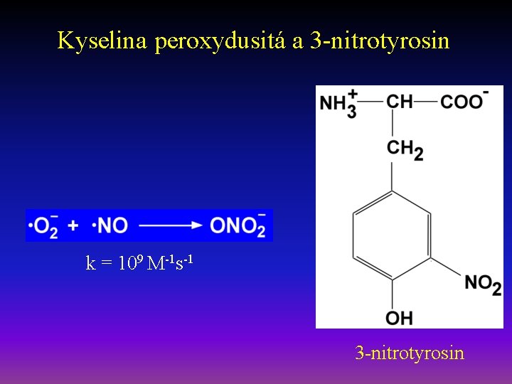 Kyselina peroxydusitá a 3 -nitrotyrosin k = 109 M-1 s-1 3 -nitrotyrosin 