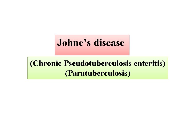 Johne’s disease (Chronic Pseudotuberculosis enteritis) (Paratuberculosis) 