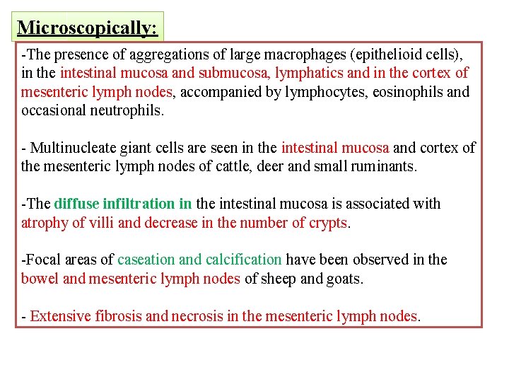 Microscopically: -The presence of aggregations of large macrophages (epithelioid cells), in the intestinal mucosa