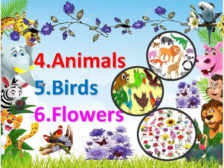 4. Animals 5. Birds 6. Flowers 