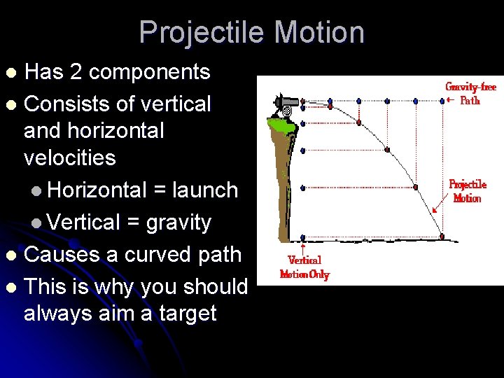 Projectile Motion Has 2 components l Consists of vertical and horizontal velocities l Horizontal