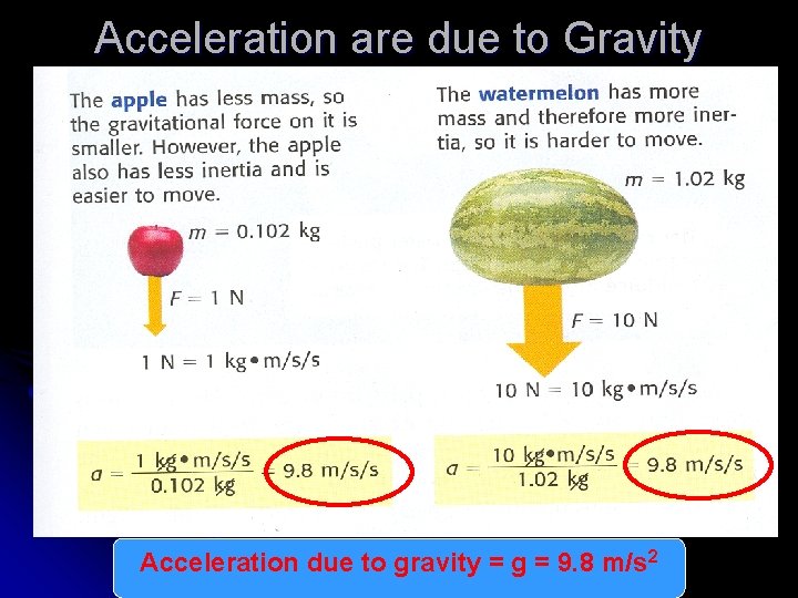 Acceleration are due to Gravity Acceleration due to gravity = g = 9. 8