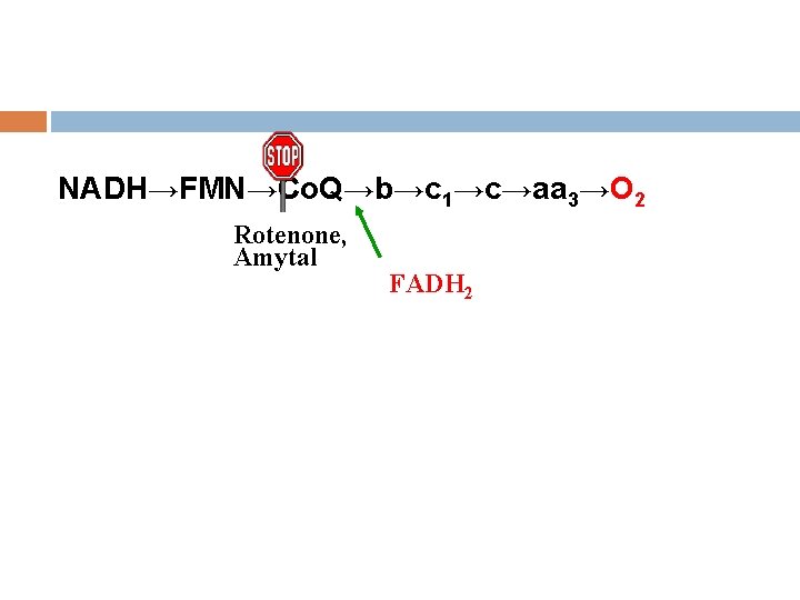 NADH→FMN→Co. Q→b→c 1→c→aa 3→O 2 Rotenone, Amytal FADH 2 