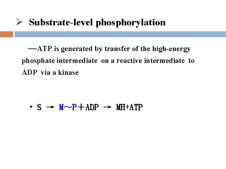 Ø Substrate-level phosphorylation —ATP is generated by transfer of the high-energy phosphate intermediate on