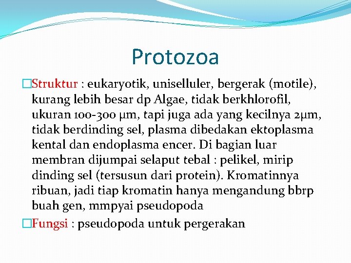 Protozoa �Struktur : eukaryotik, uniselluler, bergerak (motile), kurang lebih besar dp Algae, tidak berkhlorofil,