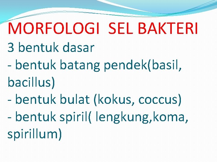 MORFOLOGI SEL BAKTERI 3 bentuk dasar - bentuk batang pendek(basil, bacillus) - bentuk bulat