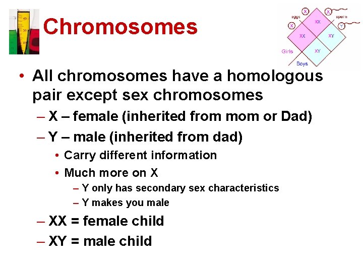 Basic Genetics The information that makes you who
