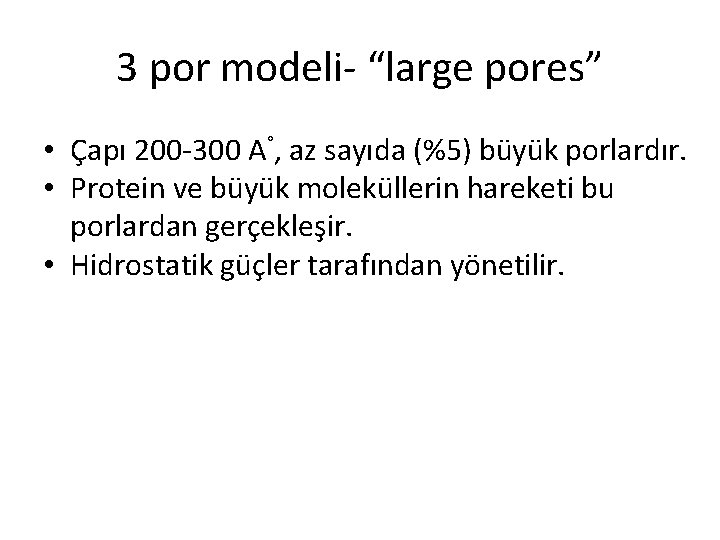 3 por modeli- “large pores” • Çapı 200 -300 A°, az sayıda (%5) büyük