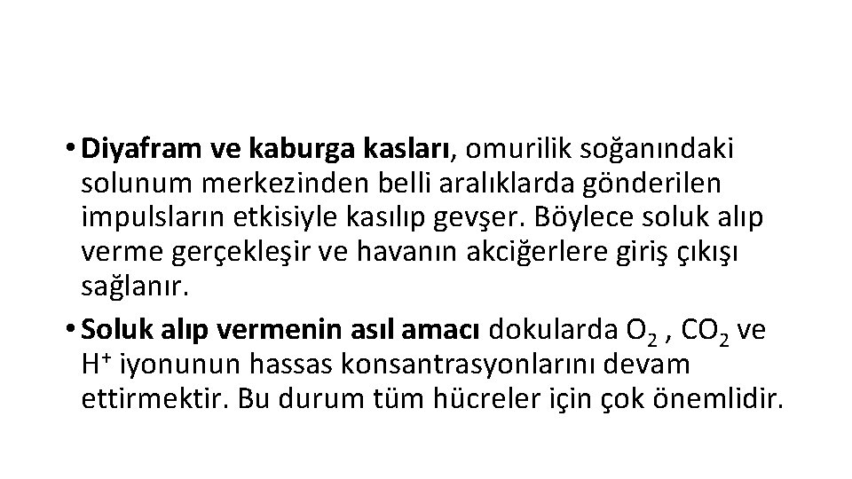  • Diyafram ve kaburga kasları, omurilik soğanındaki solunum merkezinden belli aralıklarda gönderilen impulsların