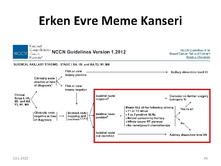 Erken Evre Meme Kanseri 13. 1. 2022 44 