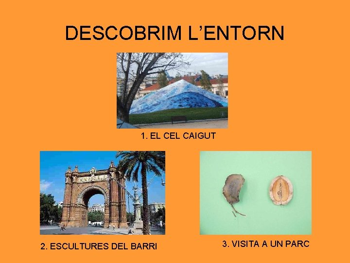 DESCOBRIM L’ENTORN 1. EL CAIGUT 2. ESCULTURES DEL BARRI 3. VISITA A UN PARC