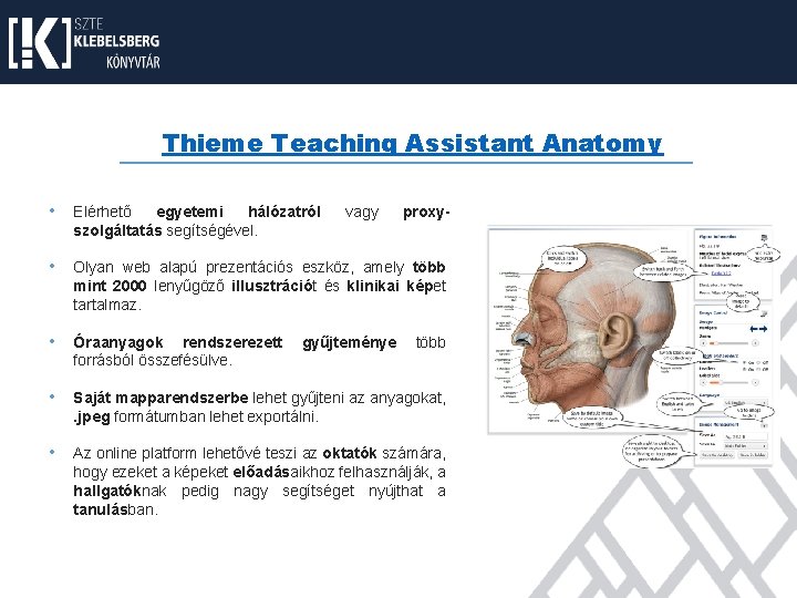 Thieme Teaching Assistant Anatomy • Elérhető egyetemi hálózatról szolgáltatás segítségével. • Olyan web alapú