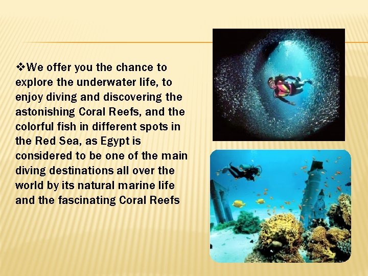 v. We offer you the chance to explore the underwater life, to enjoy diving