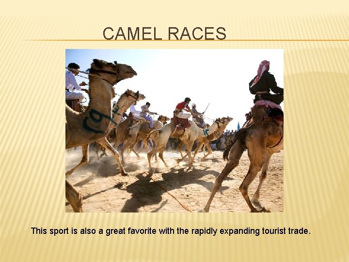 CAMEL RACES This sport is also a great favorite with the rapidly expanding tourist