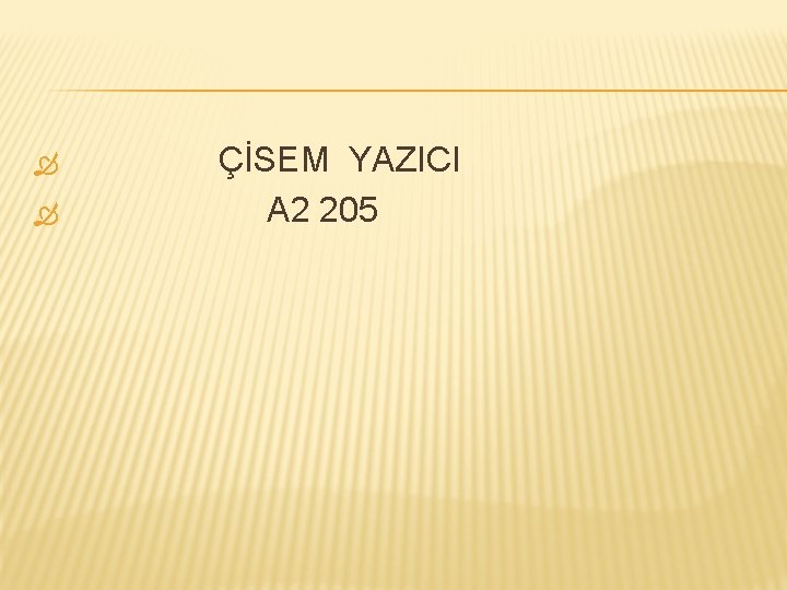  ÇİSEM YAZICI A 2 205 