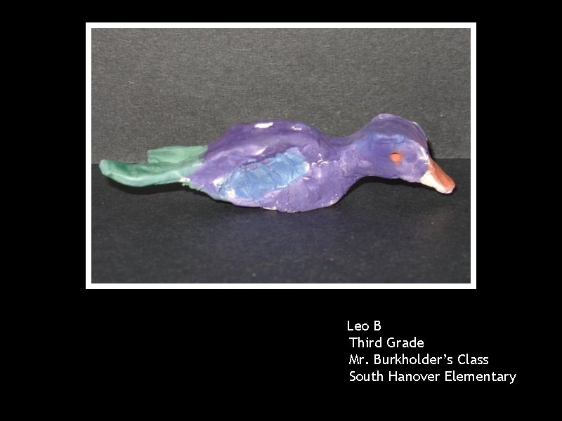 Leo B Third Grade Mr. Burkholder’s Class South Hanover Elementary 