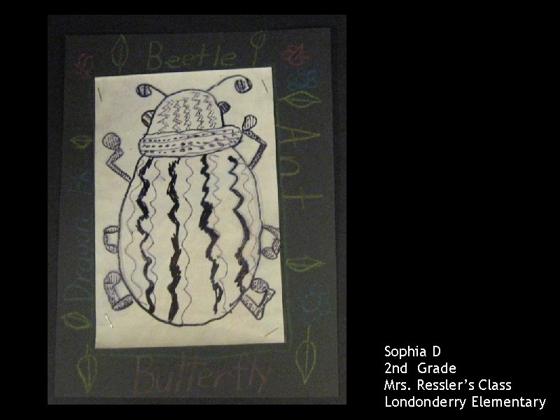Sophia D 2 nd Grade Mrs. Ressler’s Class Londonderry Elementary 
