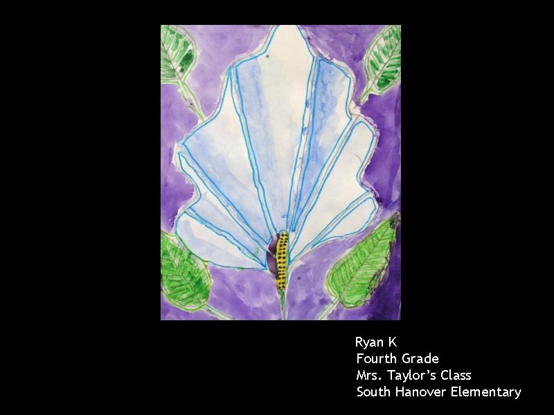 Ryan K Fourth Grade Mrs. Taylor’s Class South Hanover Elementary 