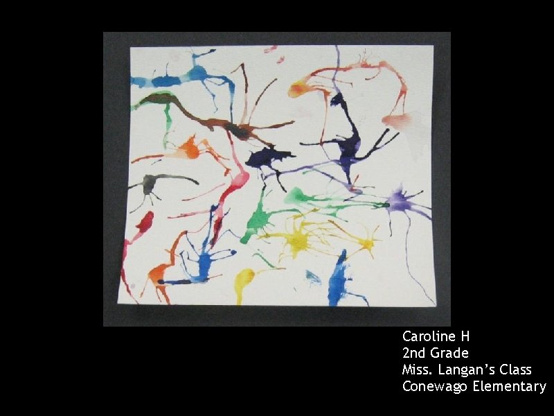 Caroline H 2 nd Grade Miss. Langan’s Class Conewago Elementary 