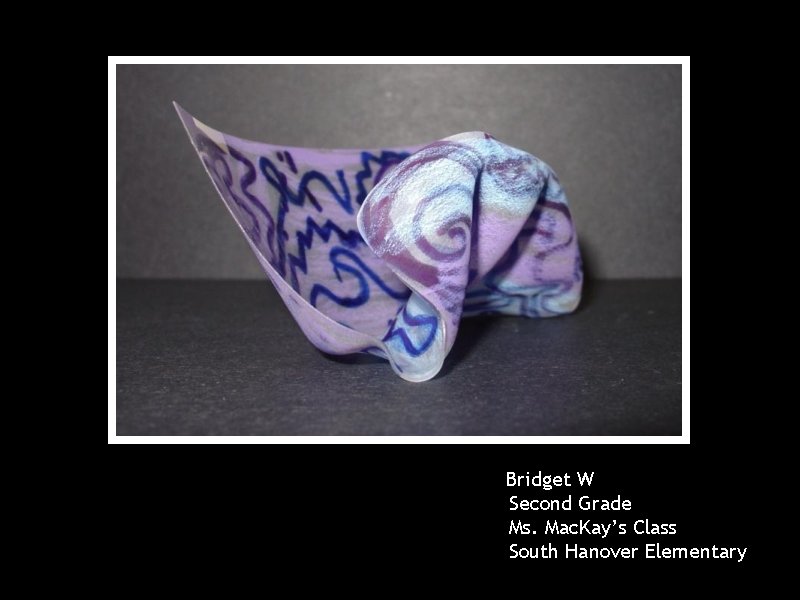 Bridget W Second Grade Ms. Mac. Kay’s Class South Hanover Elementary 