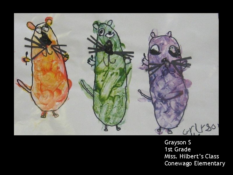 Grayson S 1 st Grade Miss. Hilbert’s Class Conewago Elementary 