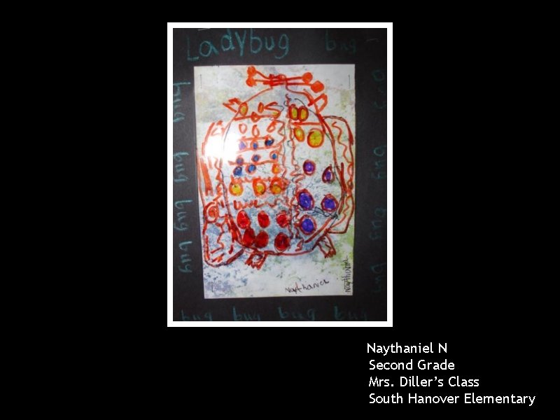 Naythaniel N Second Grade Mrs. Diller’s Class South Hanover Elementary 