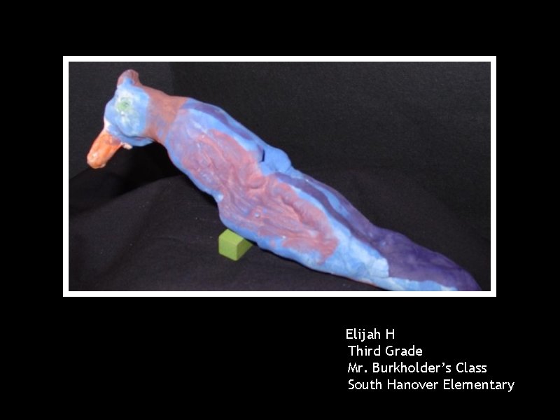 Elijah H Third Grade Mr. Burkholder’s Class South Hanover Elementary 