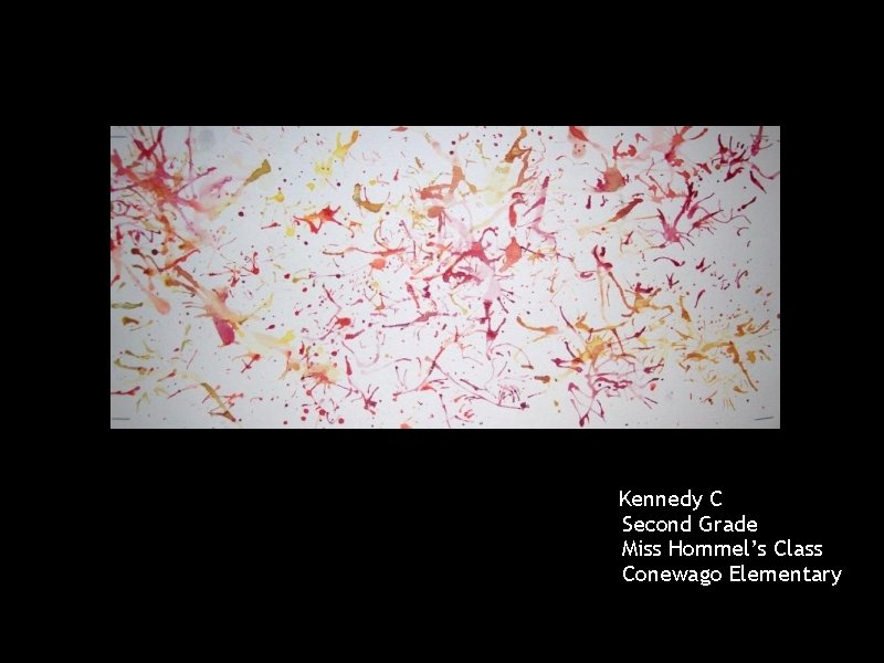 Kennedy C Second Grade Miss Hommel’s Class Conewago Elementary 