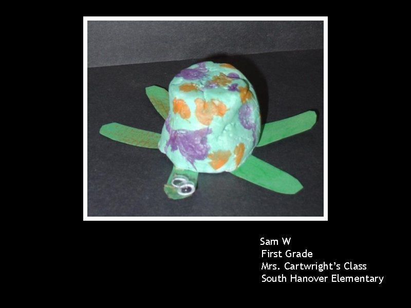 Sam W First Grade Mrs. Cartwright’s Class South Hanover Elementary 