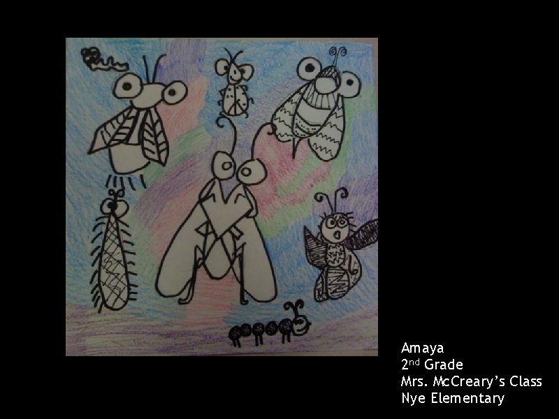 Amaya 2 nd Grade Mrs. Mc. Creary’s Class Nye Elementary 