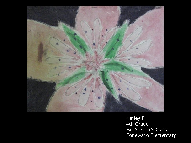 Hailey F 4 th Grade Mr. Steven’s Class Conewago Elementary 