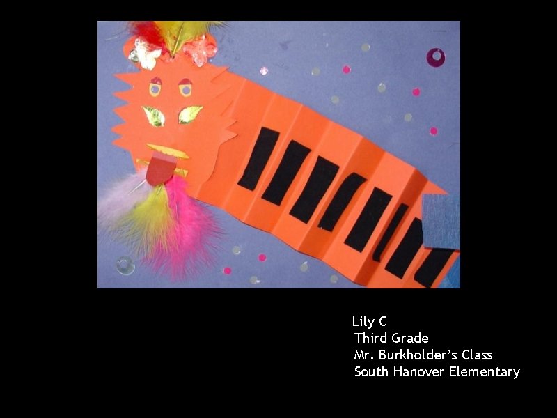 Lily C Third Grade Mr. Burkholder’s Class South Hanover Elementary 