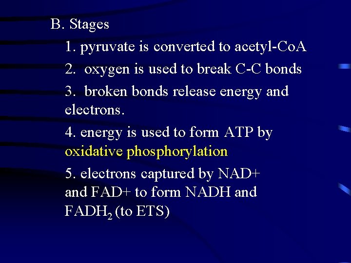 B. Stages 1. pyruvate is converted to acetyl-Co. A 2. oxygen is used to