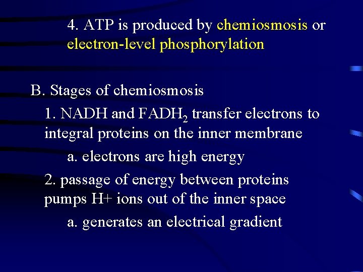 4. ATP is produced by chemiosmosis or electron-level phosphorylation B. Stages of chemiosmosis 1.