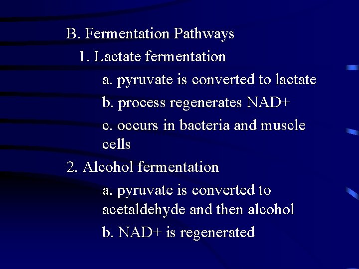 B. Fermentation Pathways 1. Lactate fermentation a. pyruvate is converted to lactate b. process