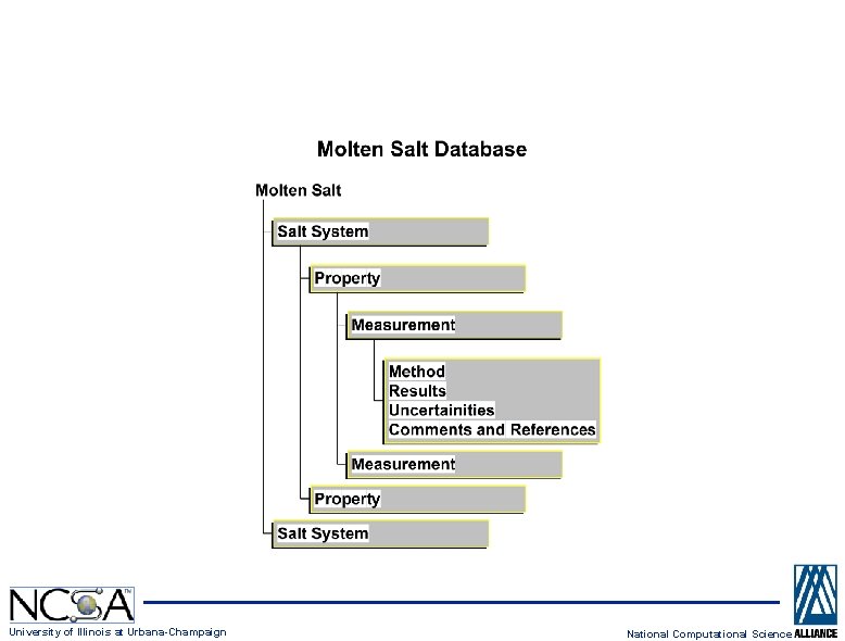 Molten Salt Organization University of Illinois at Urbana-Champaign National Computational Science 