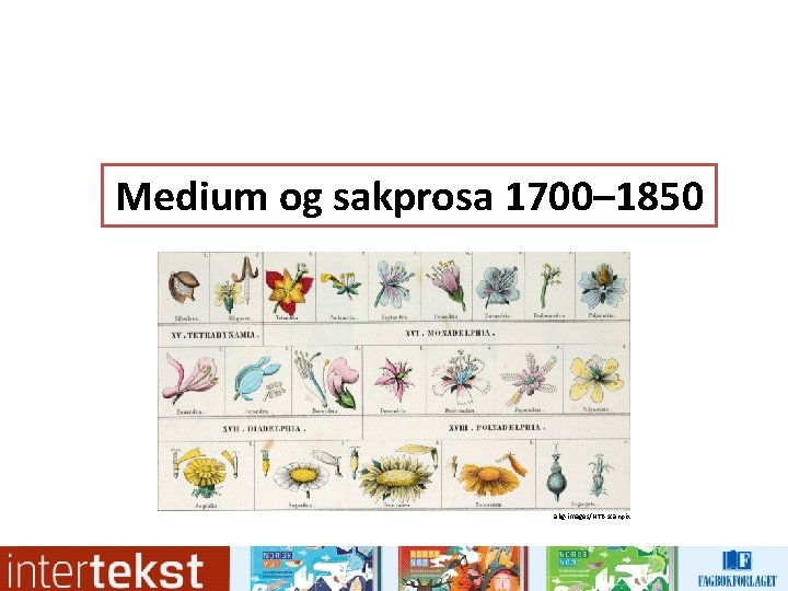 Medium og sakprosa 1700– 1850 akg-images/NTB scanpix 