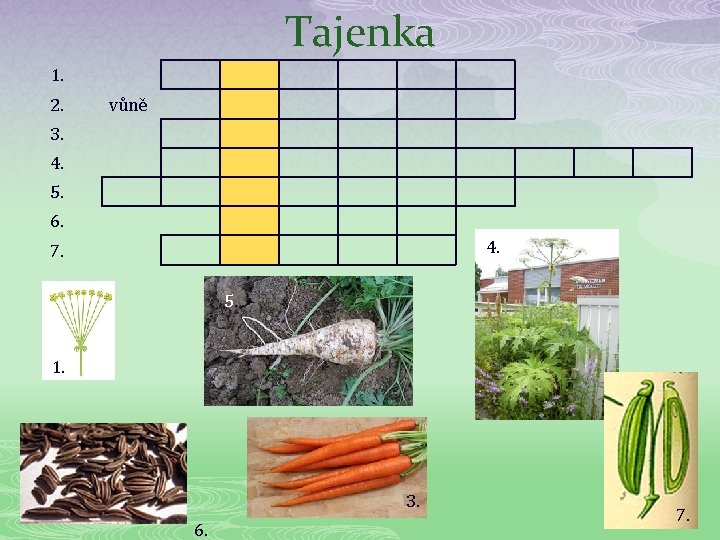 Tajenka 1. 2. vůně 3. 4. 5. 6. 4. 7. 5. 1. 3. 6.