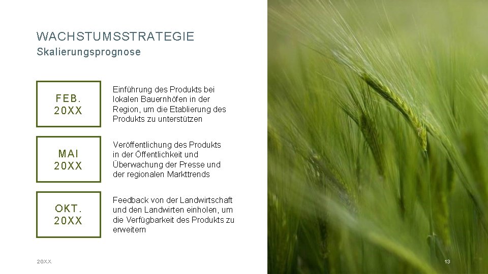 WACHSTUMSSTRATEGIE Skalierungsprognose 20 XX FEB. 20 XX Einführung des Produkts bei lokalen Bauernhöfen in