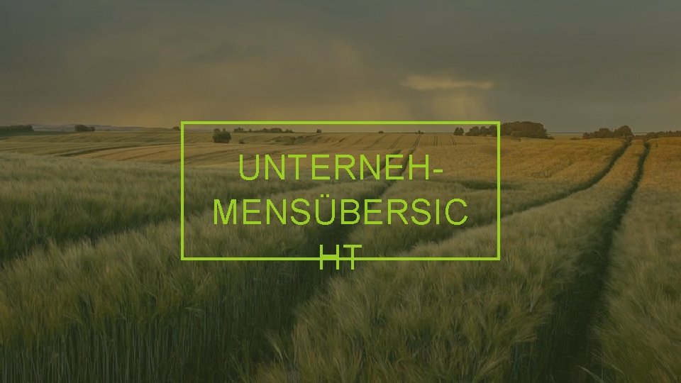 UNTERNEHMENSÜBERSIC HT 