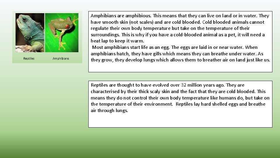 Amphibians are amphibious. This means that they can live on land or in water.