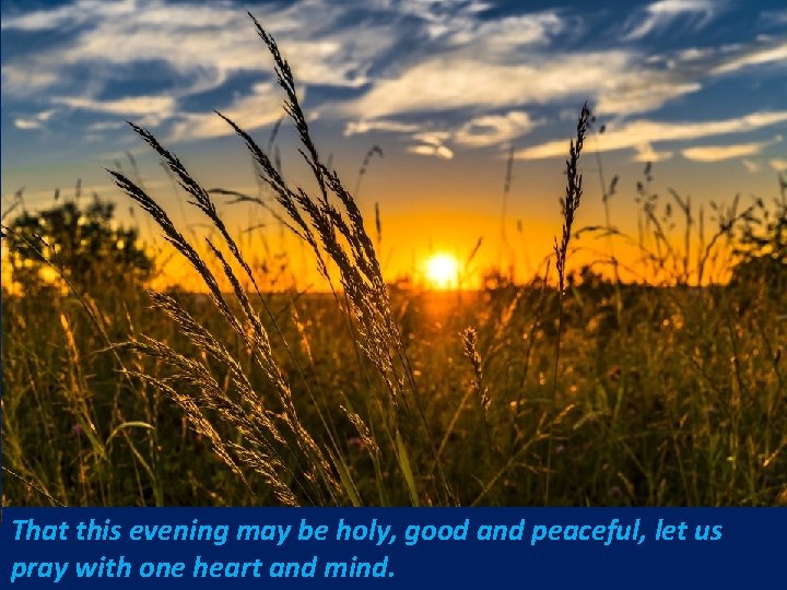 That this evening may be holy, good and peaceful, let us pray with one