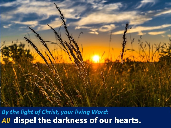 By the light of Christ, your living Word: All dispel the darkness of our