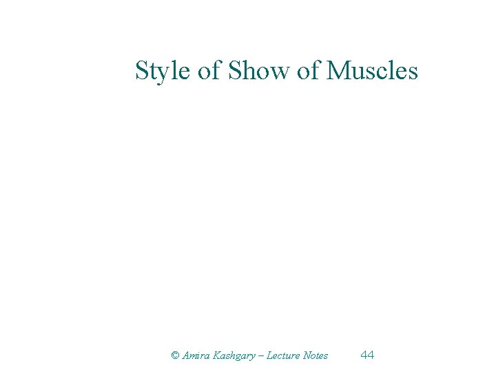 Style of Show of Muscles © Amira Kashgary – Lecture Notes 44 