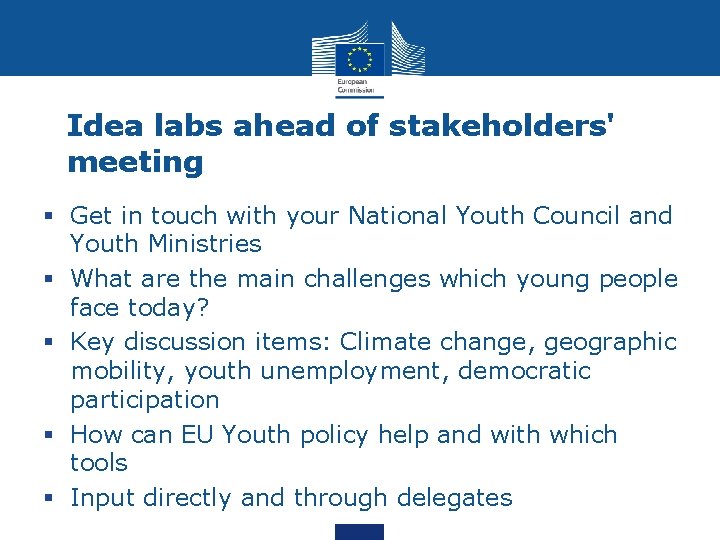 Idea labs ahead of stakeholders' meeting § Get in touch with your National Youth